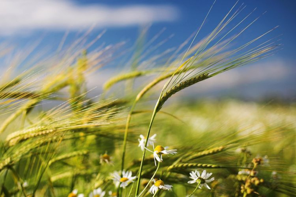 64059d1707a5f64059d1707a60167808949564059d1707a5b64059d1707a5d