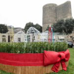 64145e06cf8ef64145e06cf8f0167905639064145e06cf8eb64145e06cf8ed