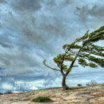 6422e6a34cde86422e6a34cde916800088678cec23e5271af19e40fe8342b6f15b13