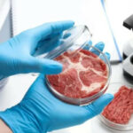 6423b021d37636423b021d376416800604496423b021d37616423b021d3762