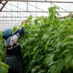 Bb644914a58e014efd7d7ce3f1d40b5d