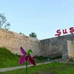 Indir 2023 03 18T102706.886