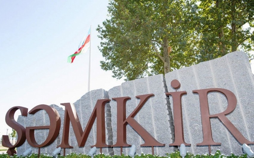 152d9dd5 22da 3de5 b909 7ff03a06574f