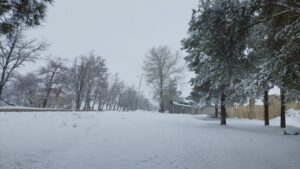 1680339679384752703_1000x669