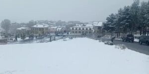 16803396794561930431_1000x669