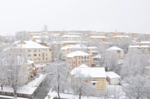 16803440281207456475_1000x669