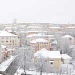 16803440281207456475 1000x669