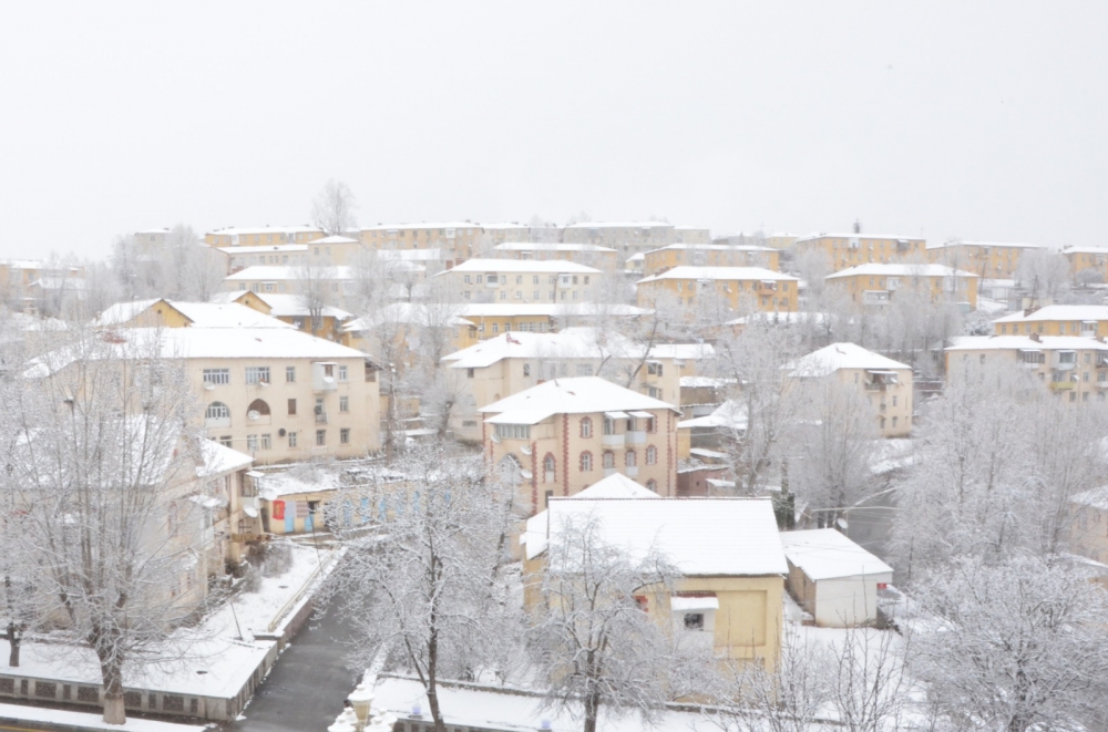 16803440281207456475 1000x669