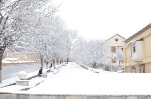 16803440284528839192_1000x669