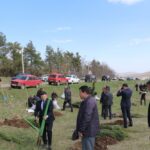 16807777193368426918 1000x669