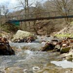 1681937165759425712 1000x669