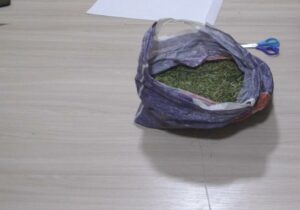 2b73877b-f2fa-3d63-b5ff-610cad98876a