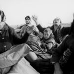 463f3ee9 a1c2 336b be7f 2aecd559ce18