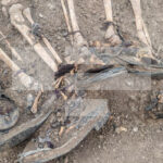 642fa15488950642fa154889511680843092642fa1548894e642fa1548894f