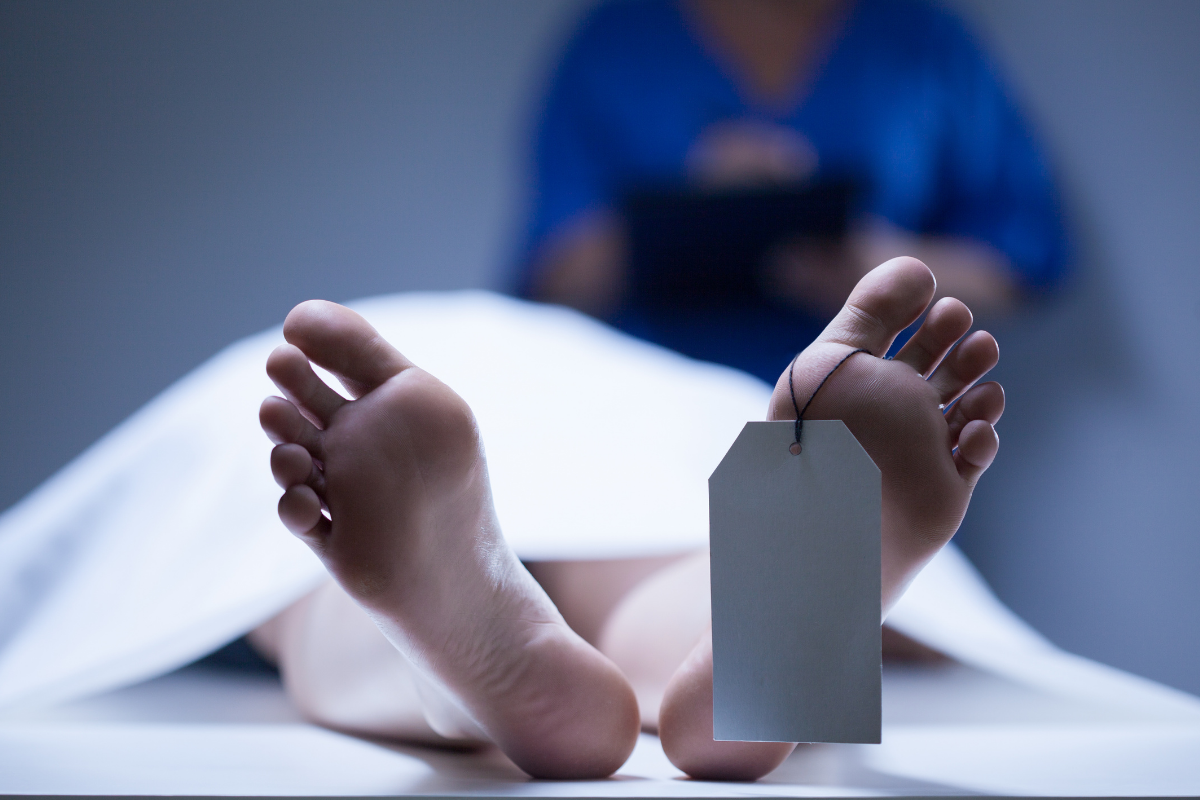 643cff176a9c7643cff176a9c81681719063643cff176a9c2643cff176a9c4