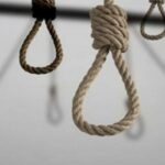 8c92de26 f514 3843 ad00 dd99418ec1aa