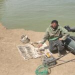 Ad350e4d ecbd 35ee 98db a2929f30abdd