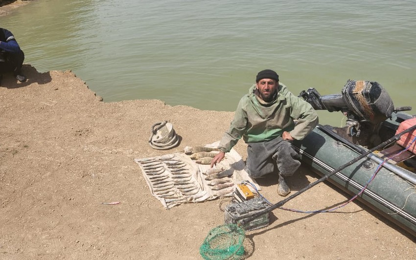 Ad350e4d ecbd 35ee 98db a2929f30abdd