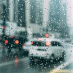 C97e8749 5534 385b 8659 1369ff98994c