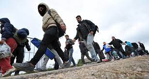 Indir 2023 04 12T090050.380