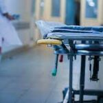 Indir 2023 04 17T085107.922