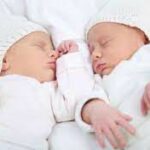 Indir 2023 04 17T122346.928