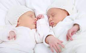 Indir 2023 04 17T122346.928