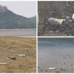 Photo 5330354907884145089 y