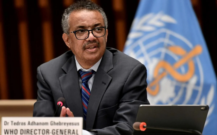 0f937202 a3db 37d8 afdf 8607613ac28f