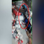 645dc00550394645dc005503951683865605645dc00550392645dc00550393