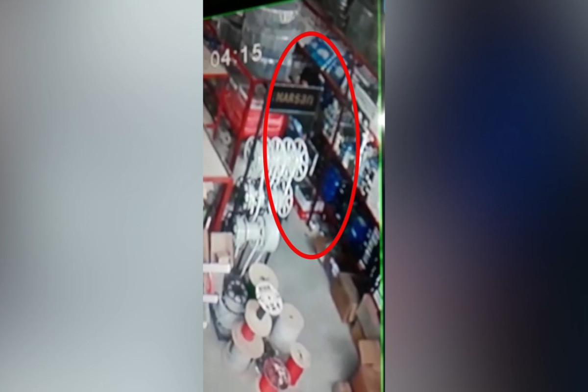 645dc00550394645dc005503951683865605645dc00550392645dc00550393