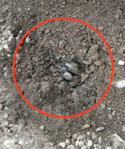 6b7d66fc-b313-3db9-8c63-03dcb6f89138