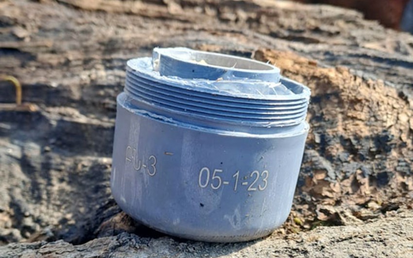 858d6be0 e2a1 30ea 9582 7cac43789bdc