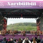 Cdccb457 5f81 3f6d 91b0 91af38129451