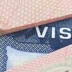 Indir 2023 05 11T090743.599