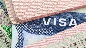 Indir 2023 05 11T090743.599