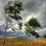 0846efb7 69c2 3d01 9dc1 0a7e79cd9c8a