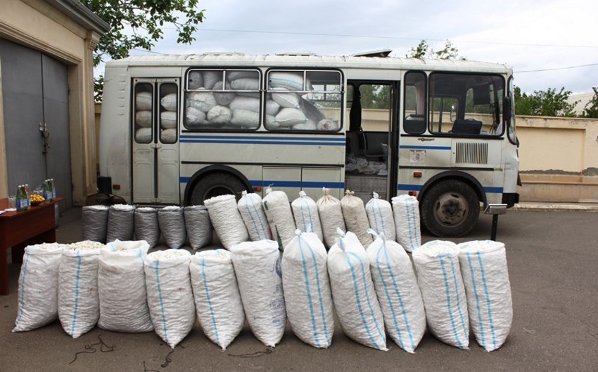 23391401 31ef 31b1 9345 a36eddc8d112