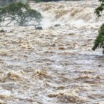 53c810ae f71b 3134 977a 23f8eb69cf59