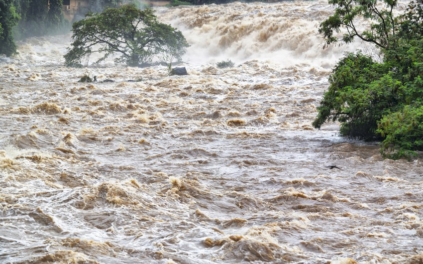 53c810ae f71b 3134 977a 23f8eb69cf59