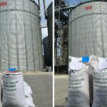 56170979 f799 3def a7ee be2356068c88