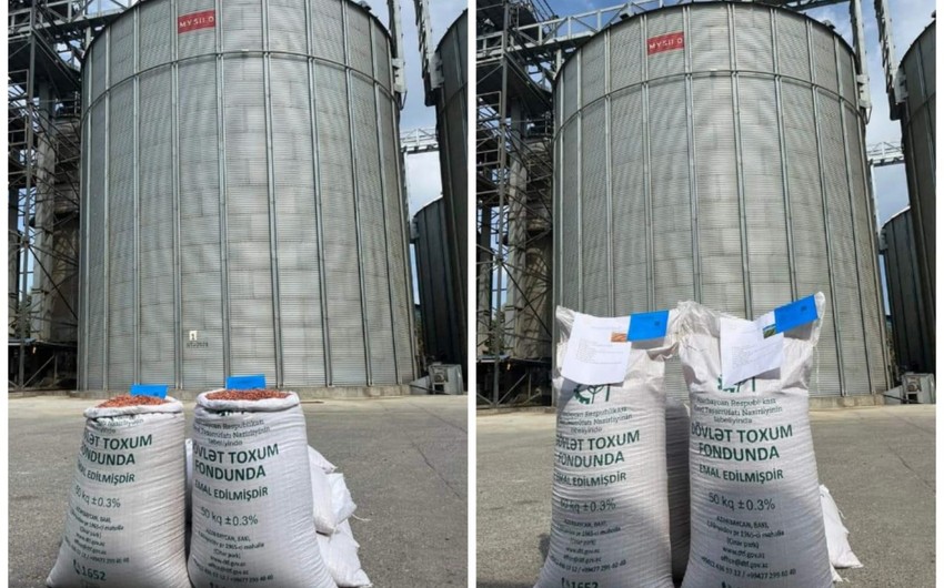 56170979 f799 3def a7ee be2356068c88