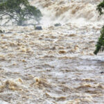 648073b0a2d6e648073b0a2d6f1686139824648073b0a2d6a648073b0a2d6c