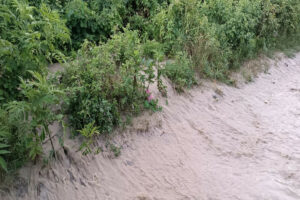 648f7c562e34f648f7c562e3501687125078648f7c562e34c648f7c562e34e