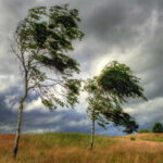 6491372ebdc346491372ebdc3616872384460d37c89cc33a9a649fa248d04582f6e7