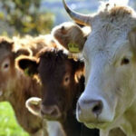 6492de7c1fb416492de7c1fb4216873468126492de7c1fb3f6492de7c1fb40