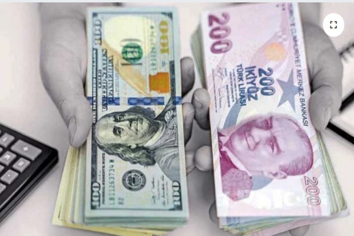 6494376dbf3036494376dbf30416874351176494376dbf3016494376dbf302