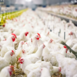 7df9203e b125 3bef 8945 14e658bf5d37