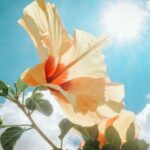 9170d467 6a6e 37da 9818 9e069fd2d74b