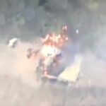 MyCollages 2023 06 16T103740.891